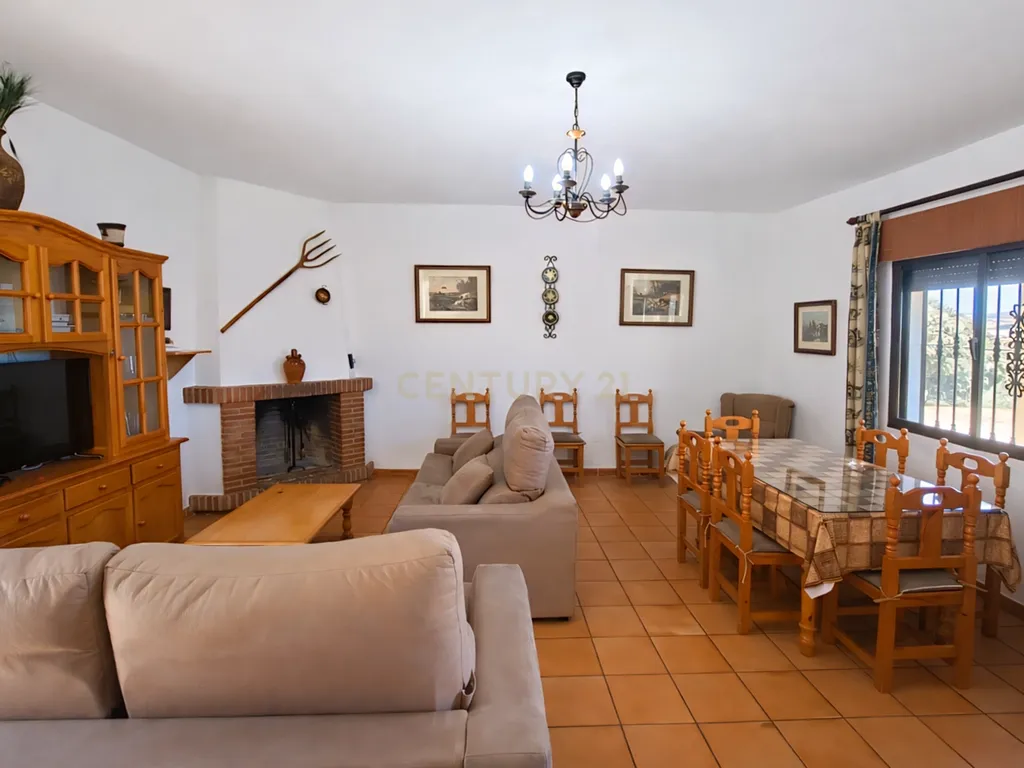 Quinta com vistas panorâmicas em Ronda, piscina privada, olival em produção e casa andaluza · Ideal para investimento em turismo rural - Image 11
