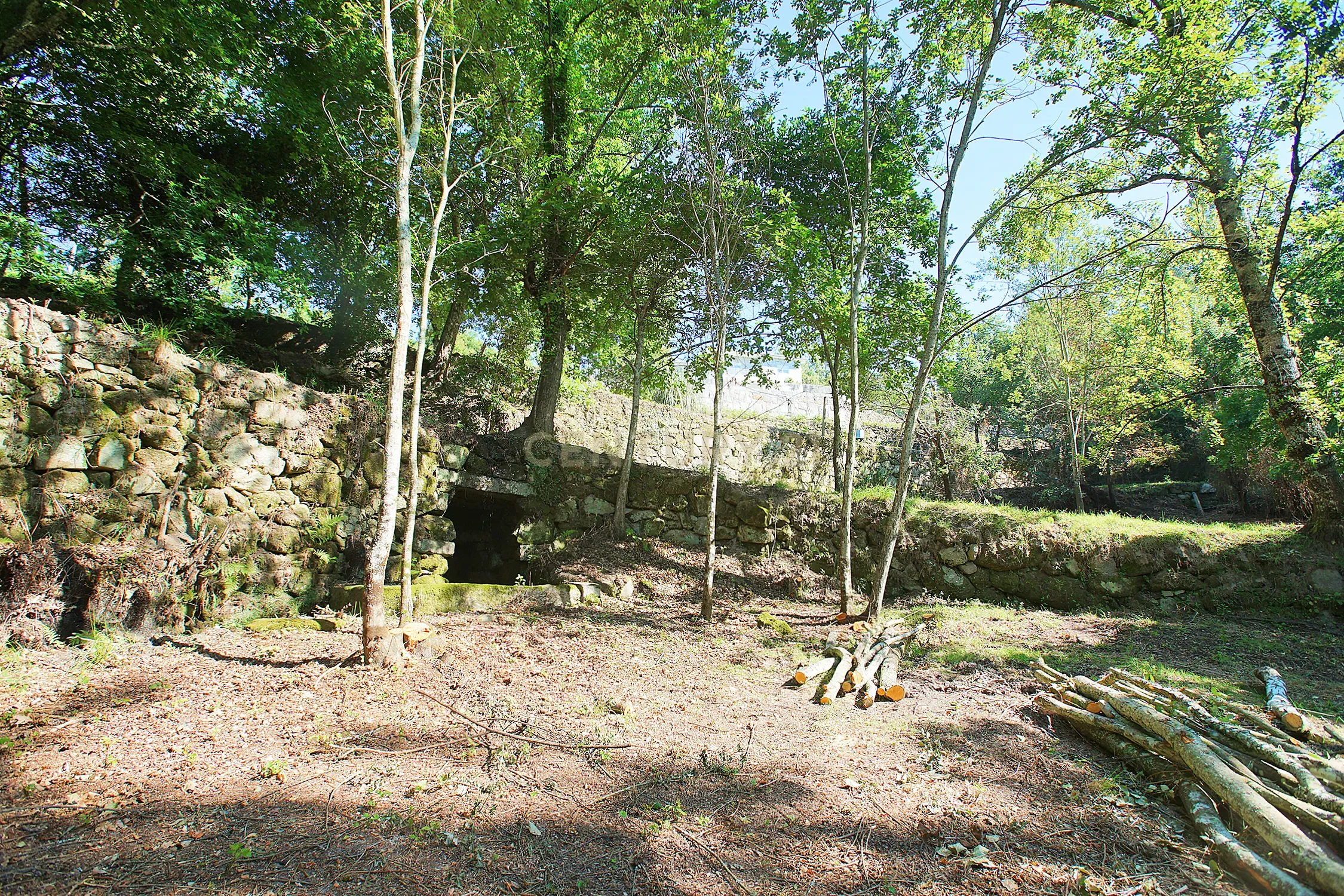 Quinta com 2 casas para restauro em Sande Marco de Canaveses - Image 18