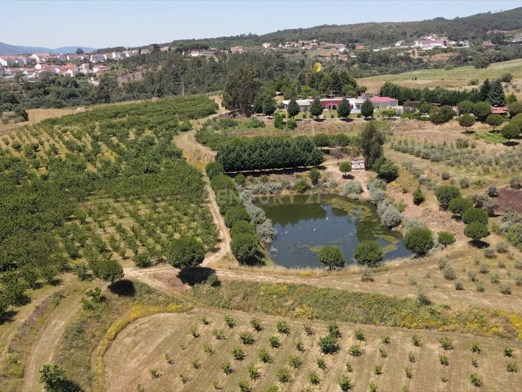 Luxuosa Herdade/Quinta do Pinheiro Redondo, Covilhã - Image 13