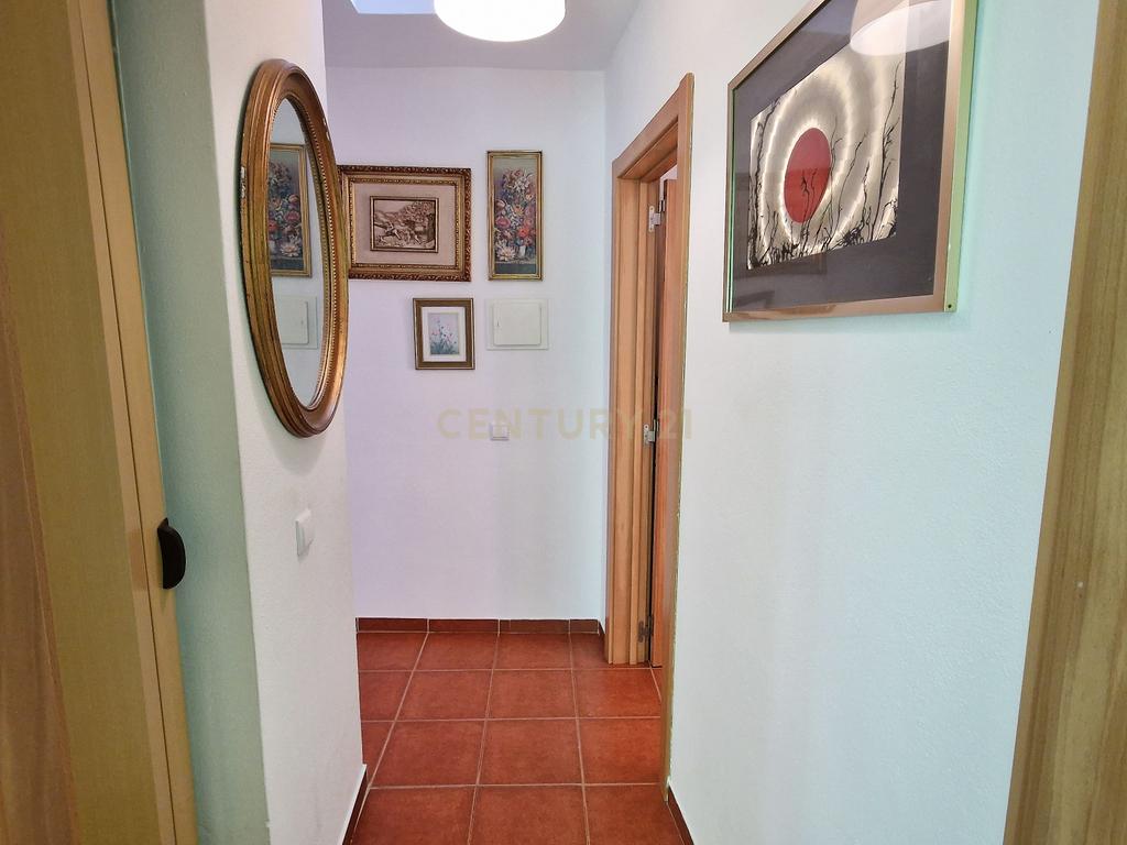 Encante-se com a Sua Nova Casa em Santana da Serra - A Paz do Interior a um Passo das Praias - Image 7