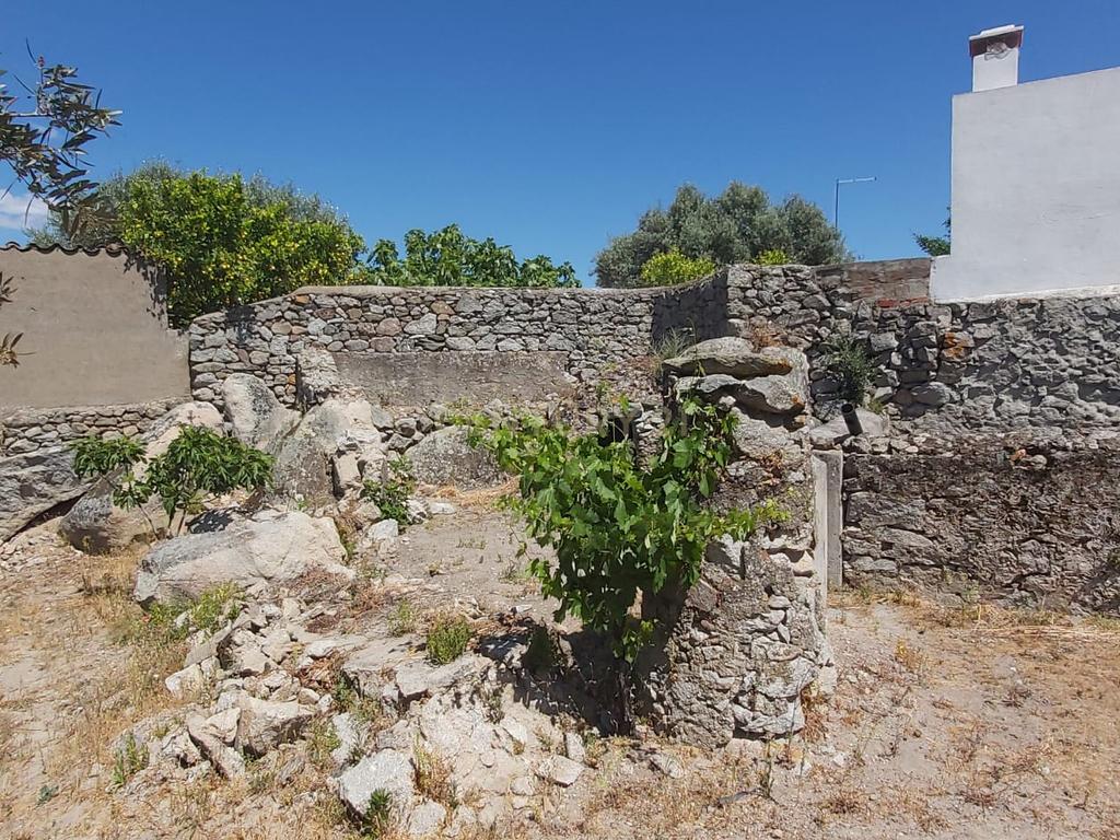 PEDROGÃO ALENTEJO - EXCELENTE TERRENO PARA CONSTRUÇÃO - Image 15