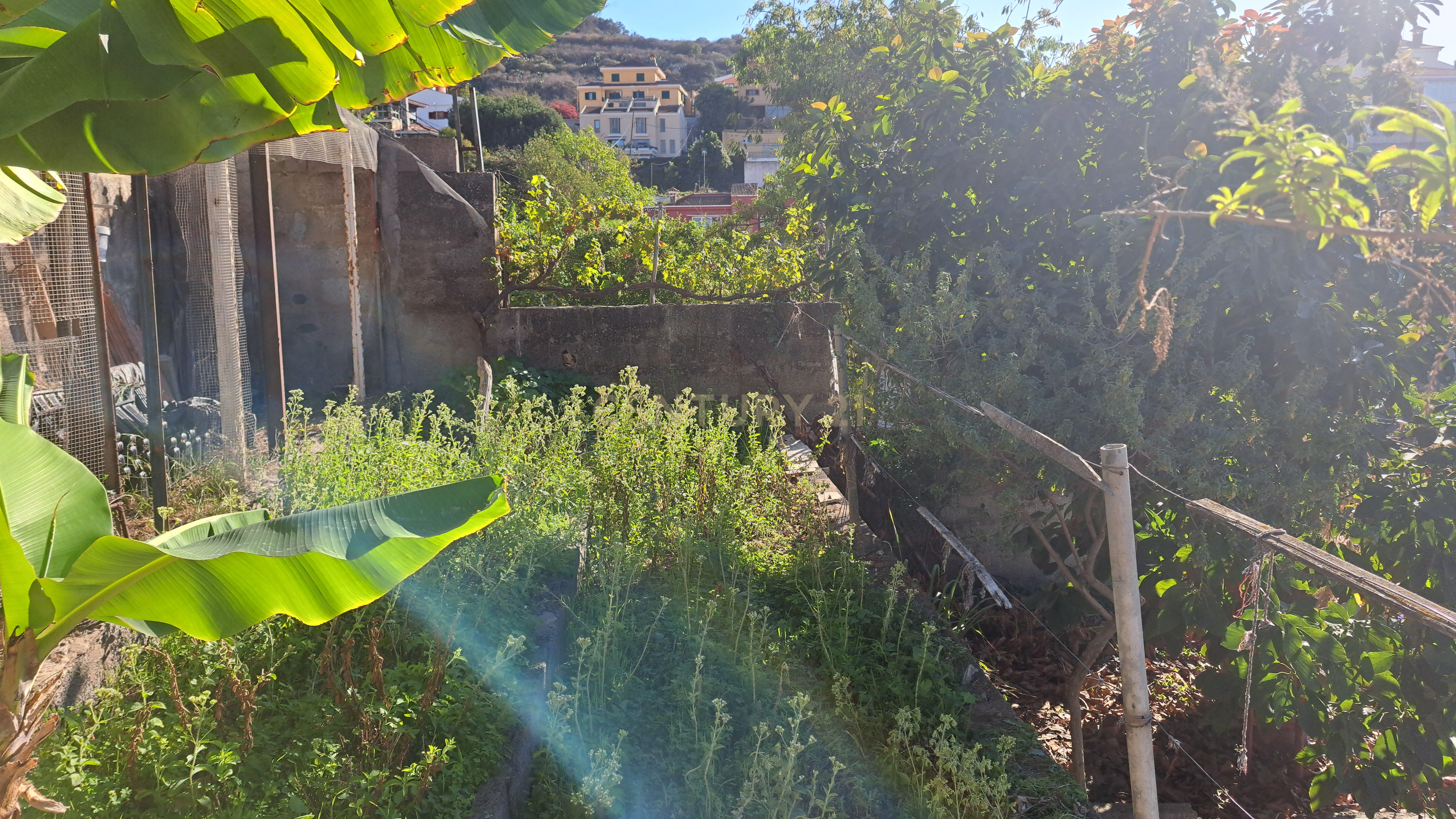 undefined - Image 15
