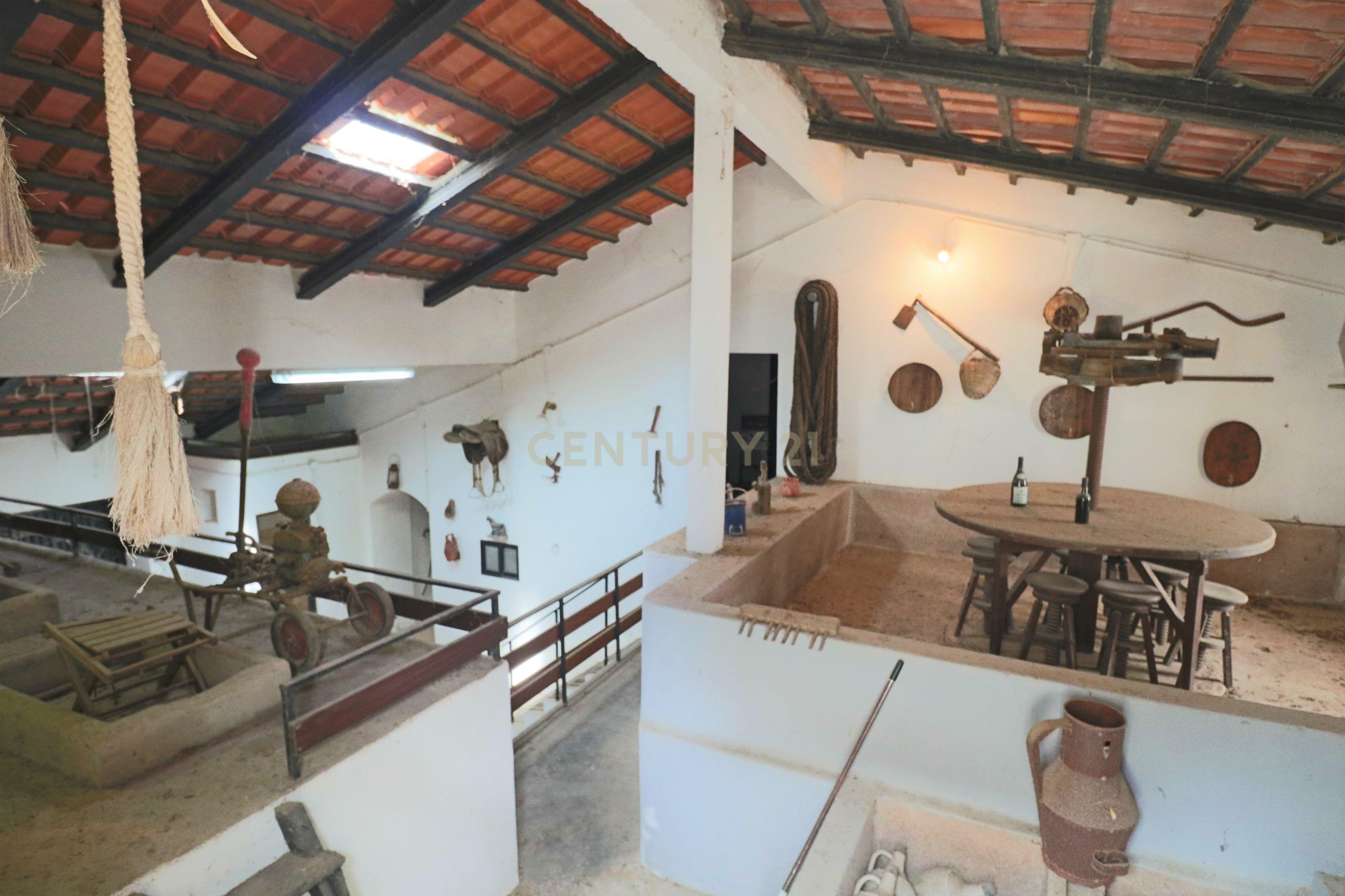 Fantástica Quintinha com 3 Casas de Habitação - Image 18