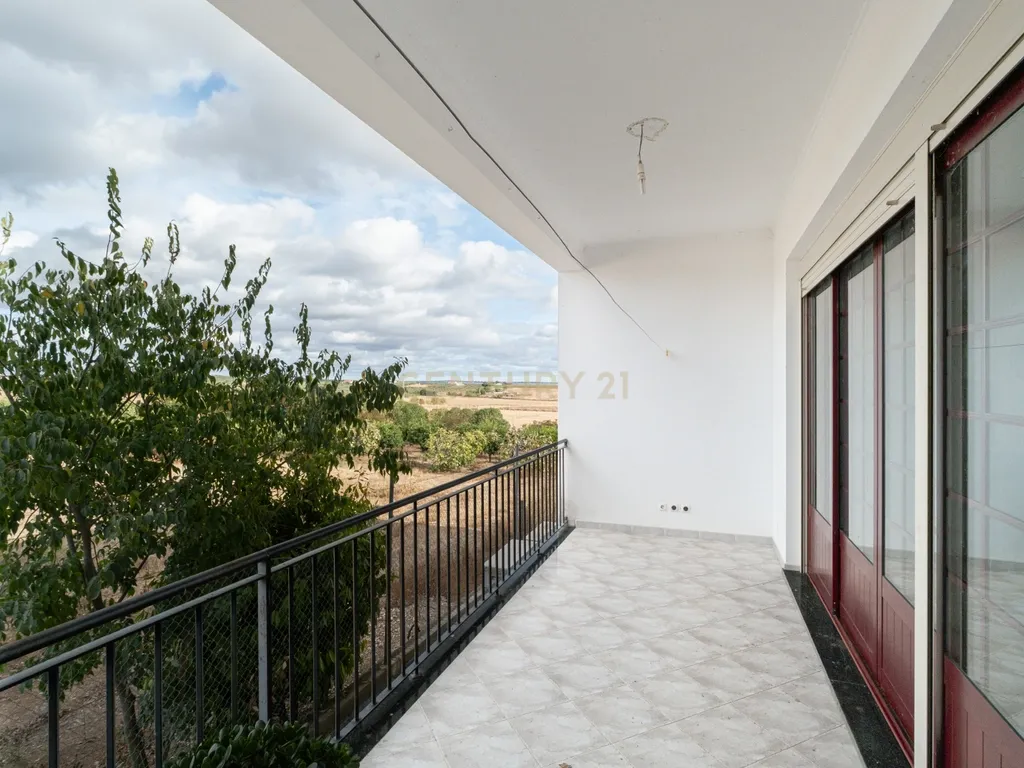 🌿 Quinta com Moradia T4 e Piscina | 3,25 hectares| Olival | Vinha| Amareleja, Alentejo - Image 17