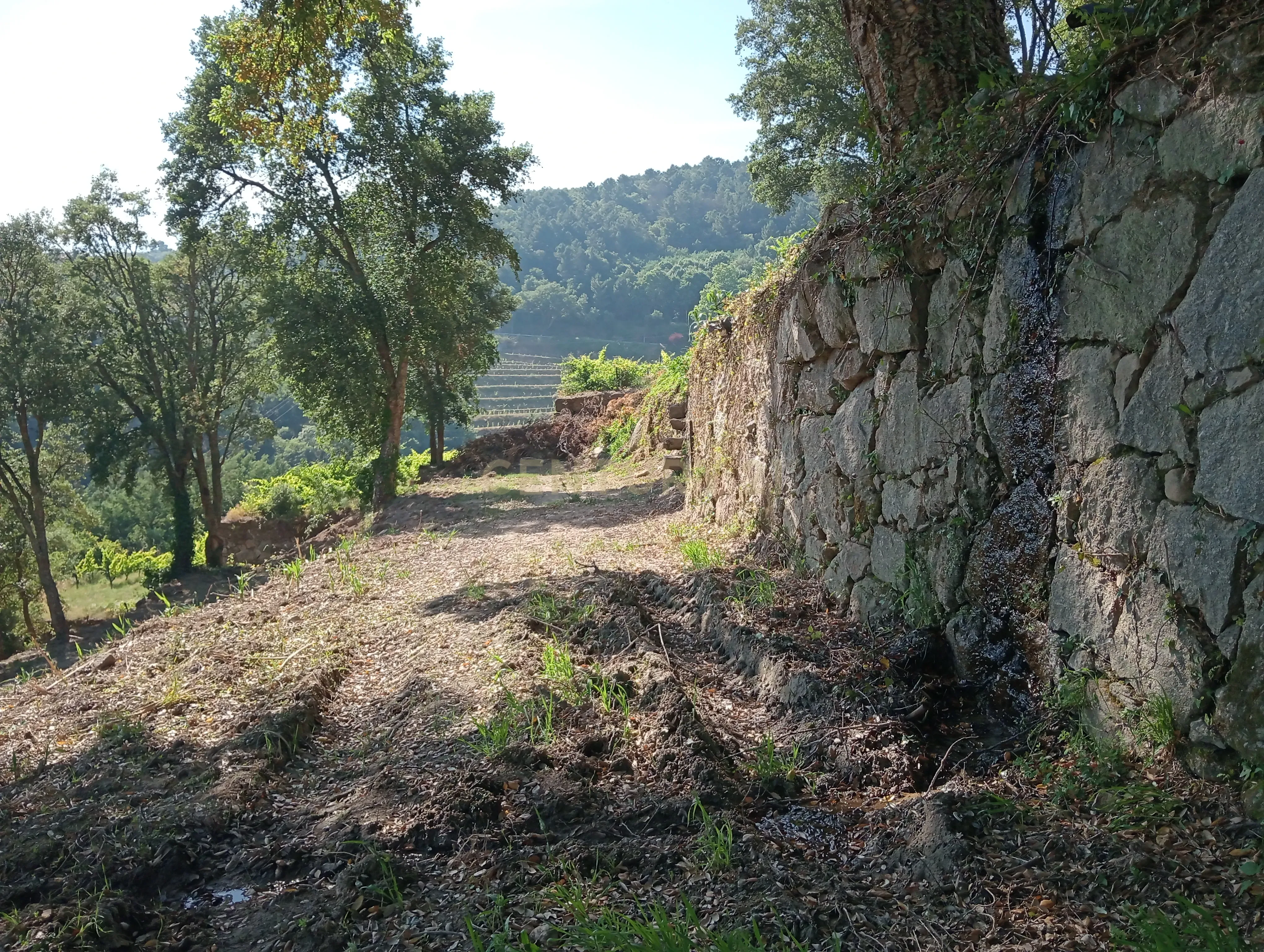 Moradia T2 à venda em Frende, Baião — foto 14