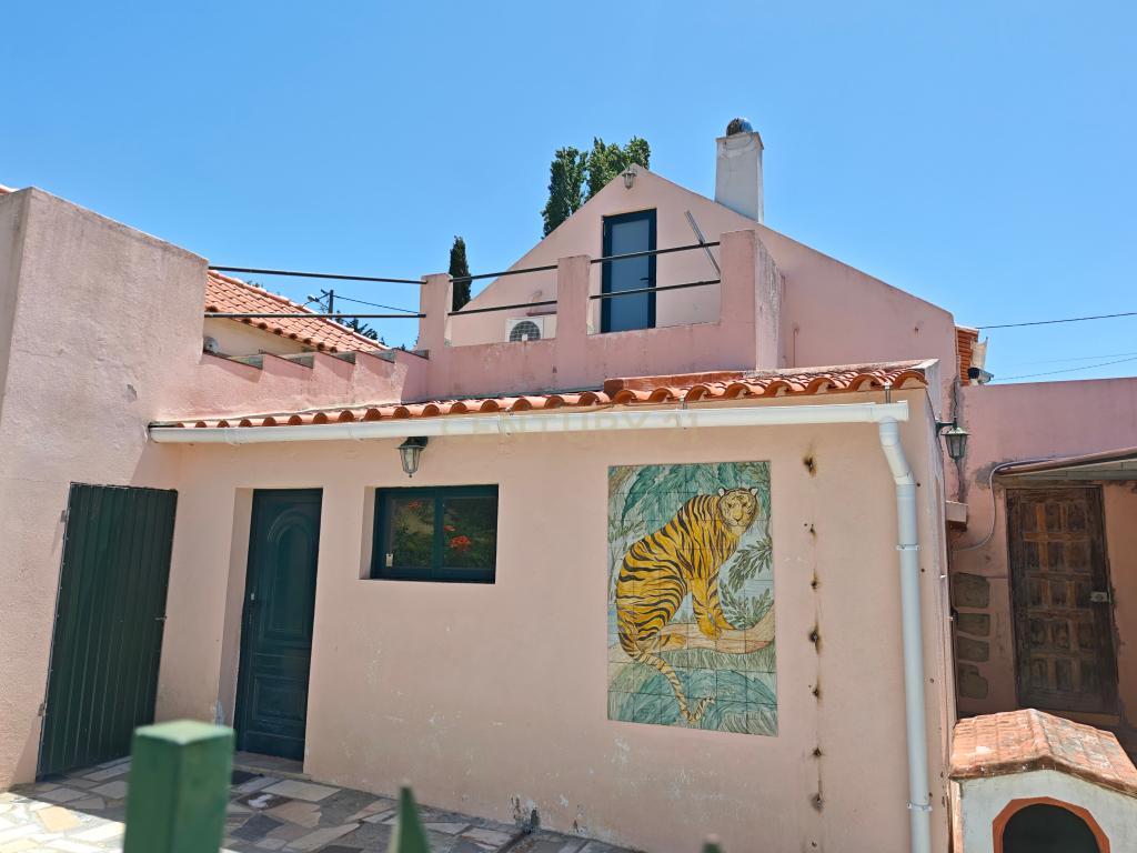 Moradia T4 em Quinta de 1950 com piscina e terra fértil - Image 5
