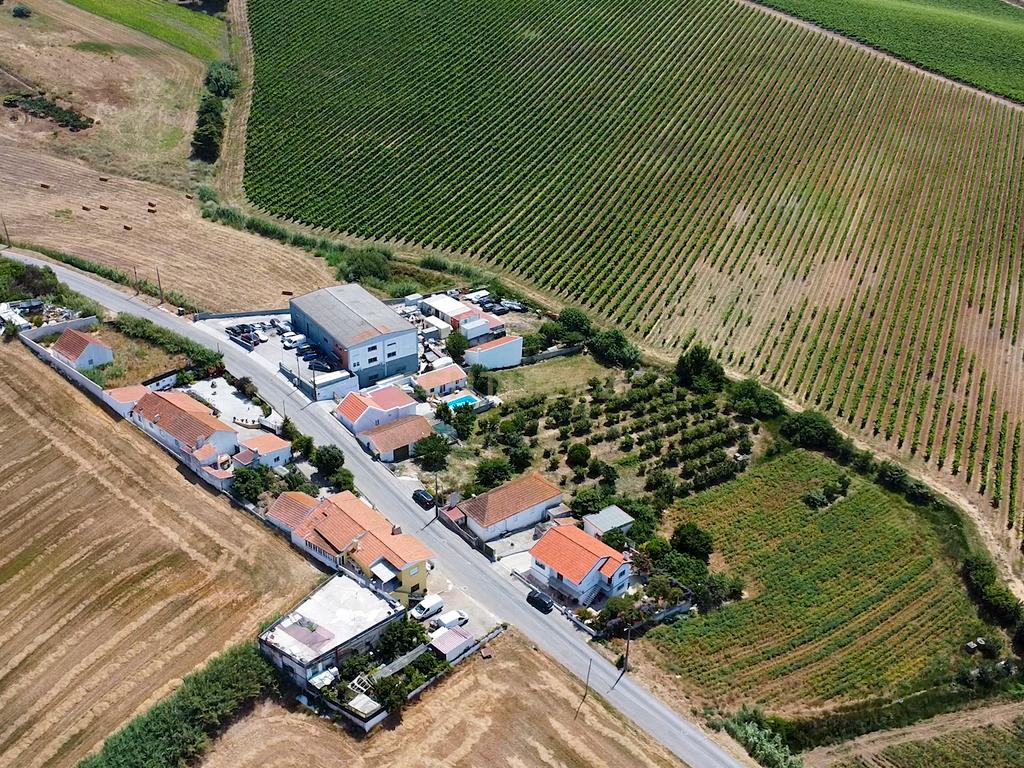 Pequena Quinta em Bonabal – Ventosa, Torres Vedras - Image 5