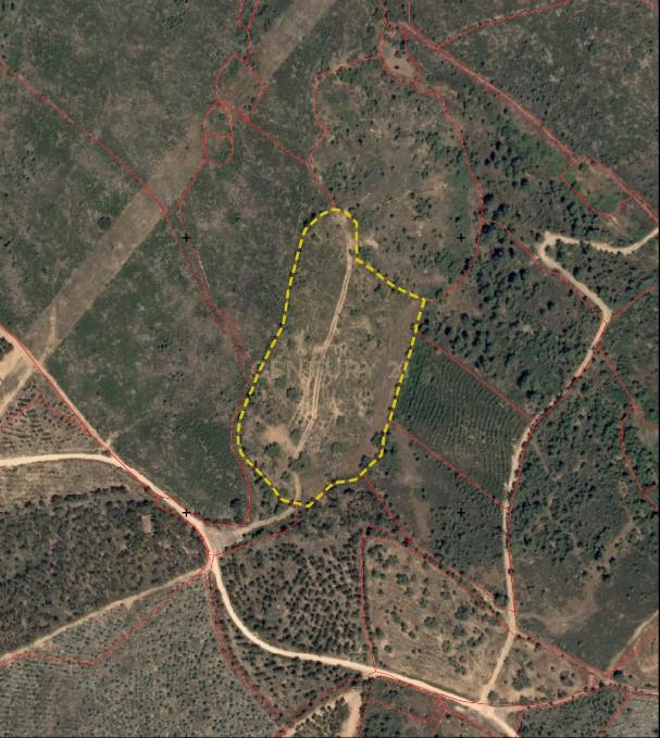 Terreno rustico com 16940m2-Sarnadas de Rodão - Image 17