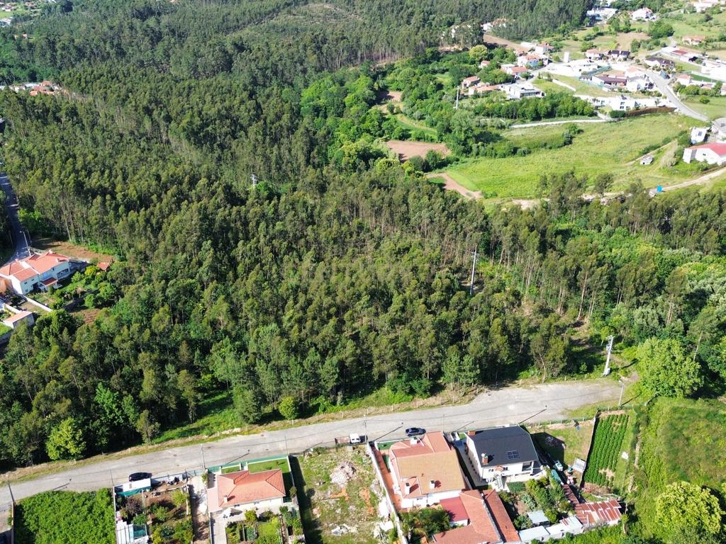 Terreno 14.275m2 - Vila Maior - Image 2