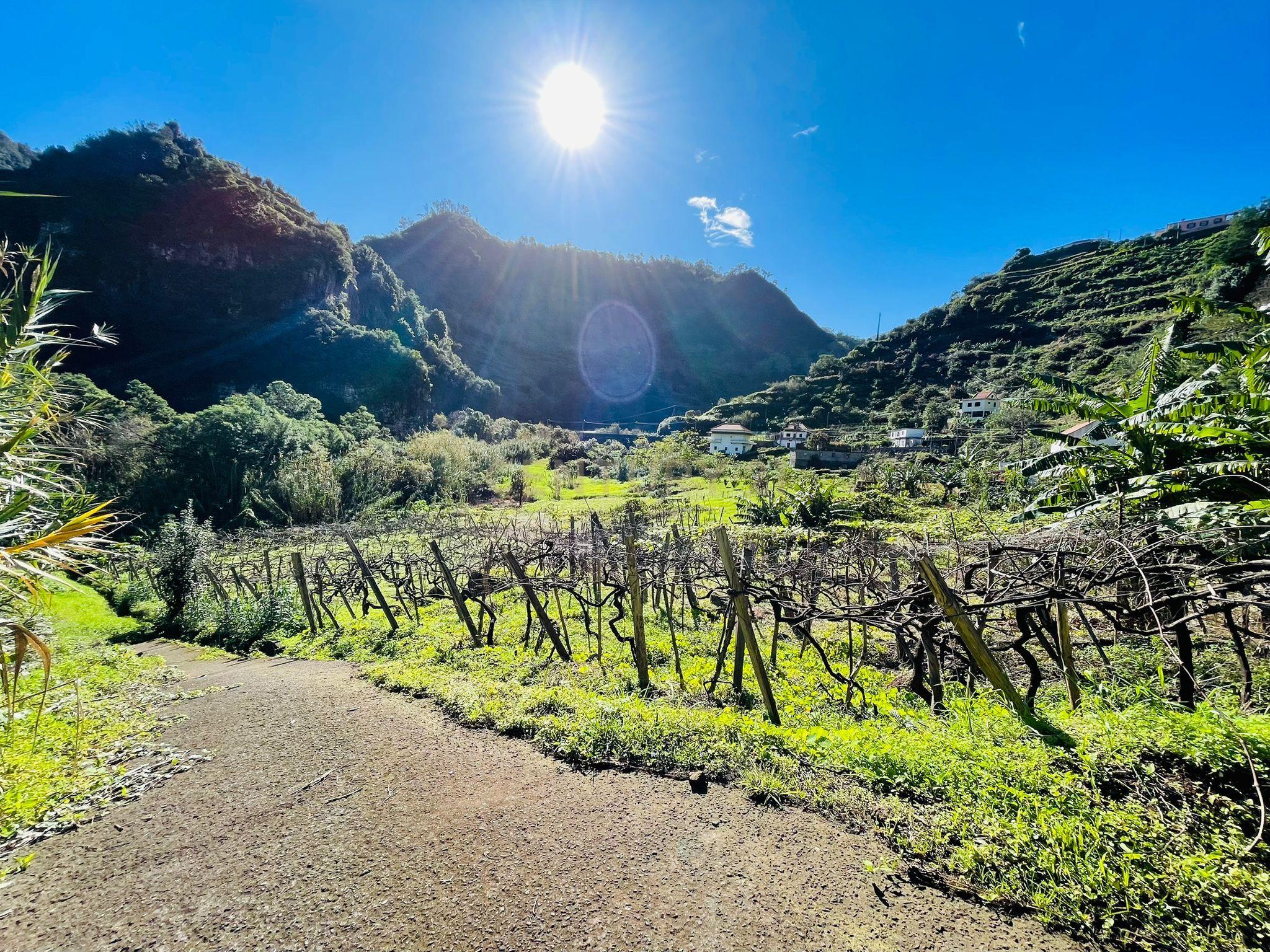 Terreno - São Jorge - Image 2