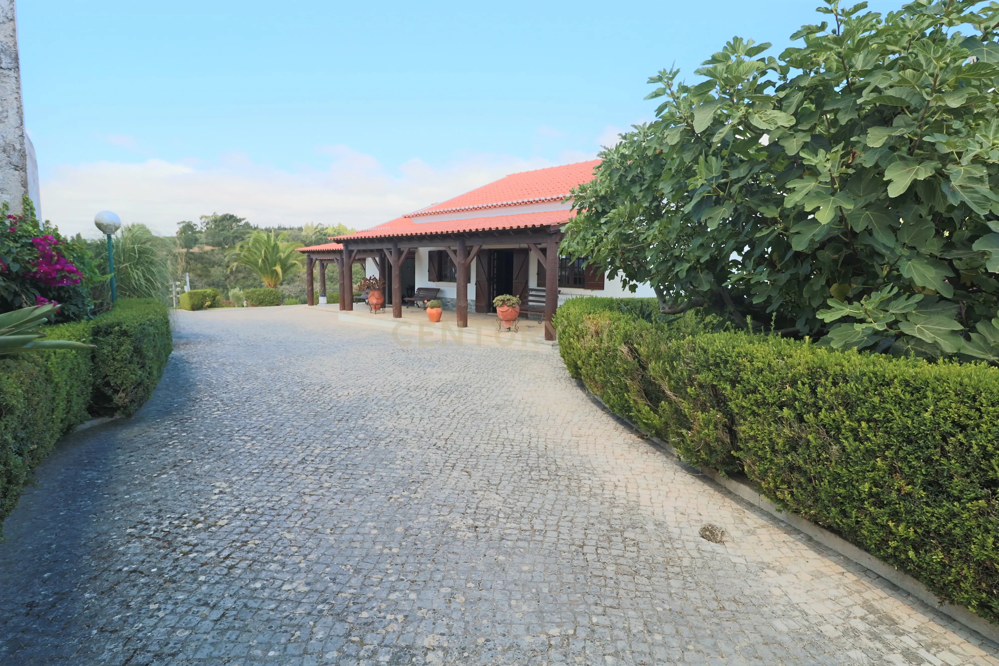 Fantástica Quintinha com 3 Casas de Habitação - Image 4