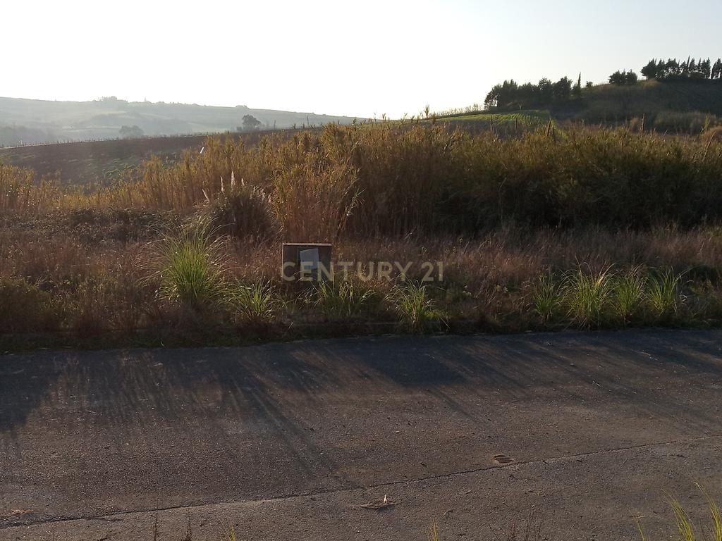 Terreno Urbano para construção - Aldeia da Merceana - Alenquer - Image 6