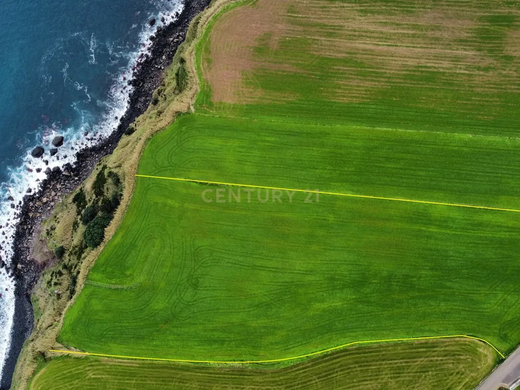 Oportunidade de Investimento no Nordeste - Image 2