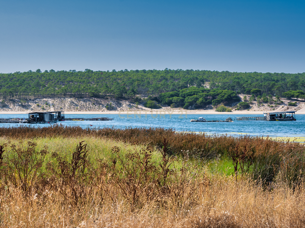 MORADIA T4 ISOLADA COM PISCINA – LAGOA DE ALBUFEIRA - Image 2