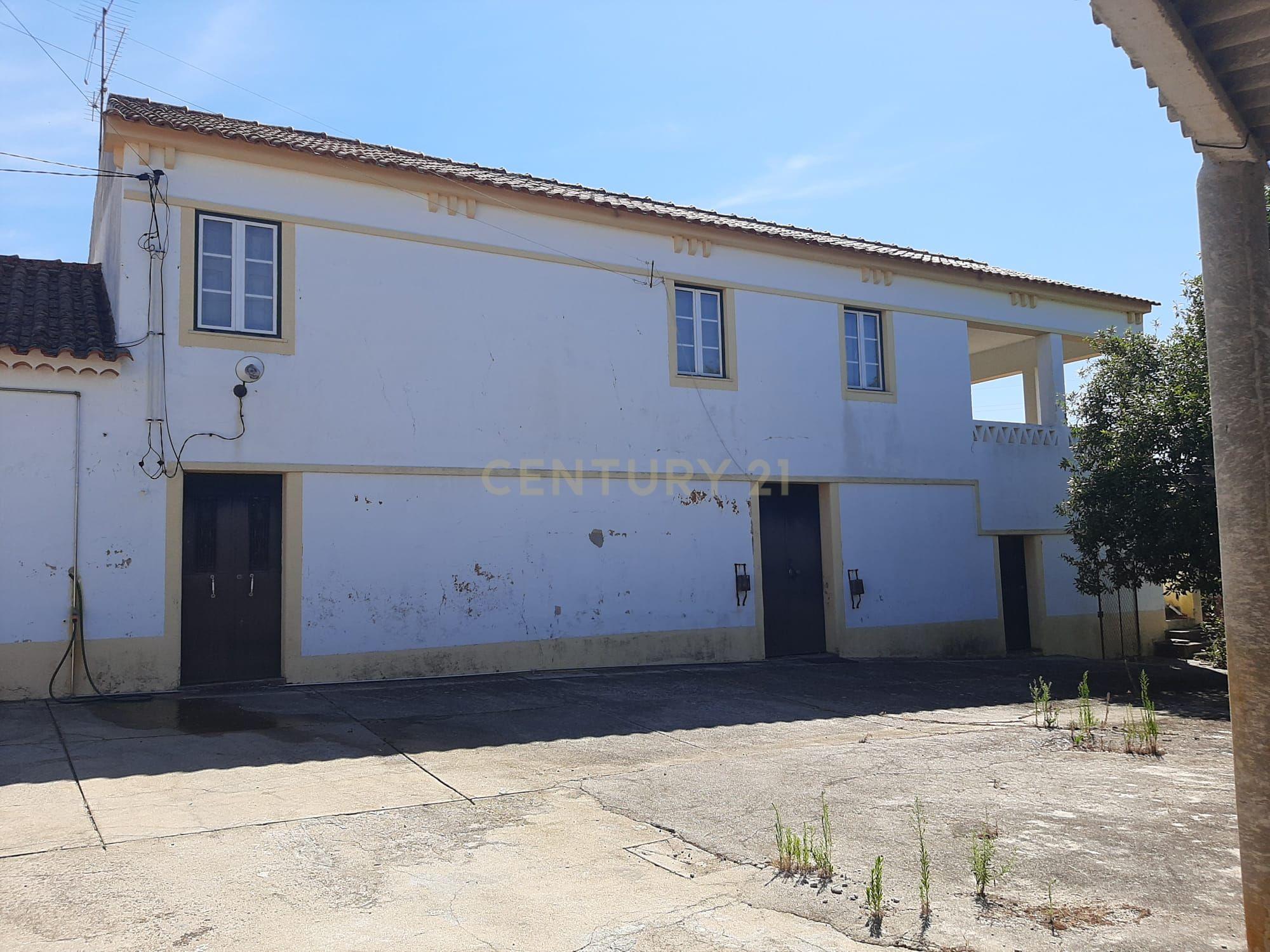Quintinha com moradia de 10 assoalhadas e anexos, lote de 19.060m2, Mouriscas, Abrantes - Image 2