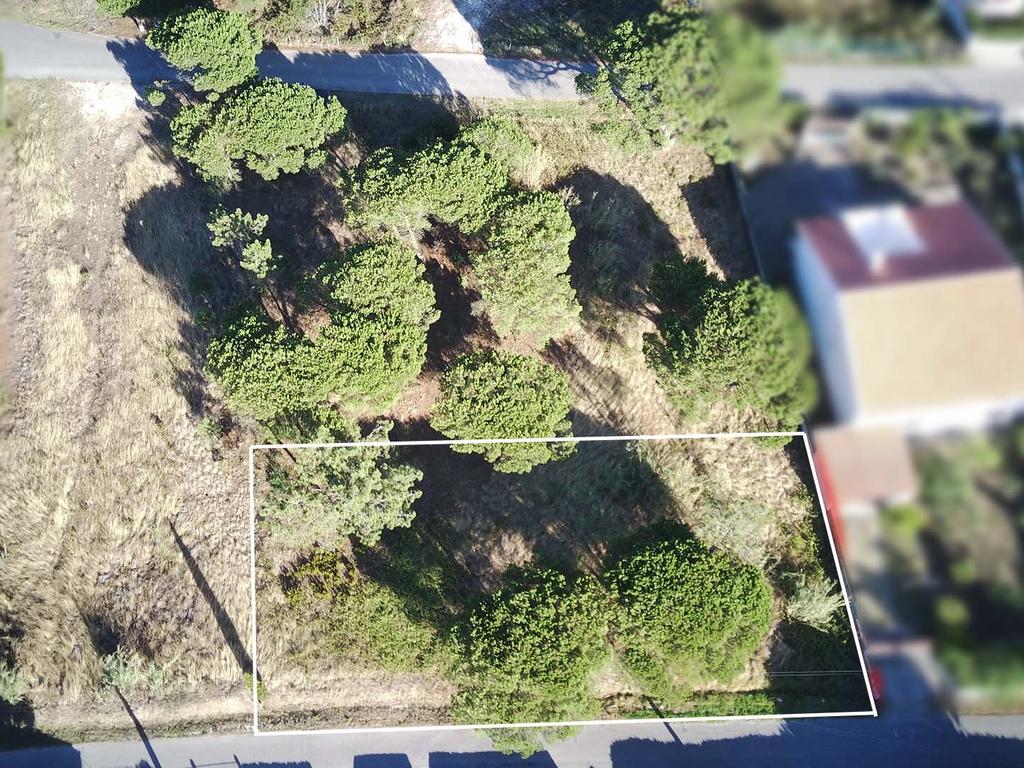 Terreno com viabilidade de construção - Nadadouro - Image 2