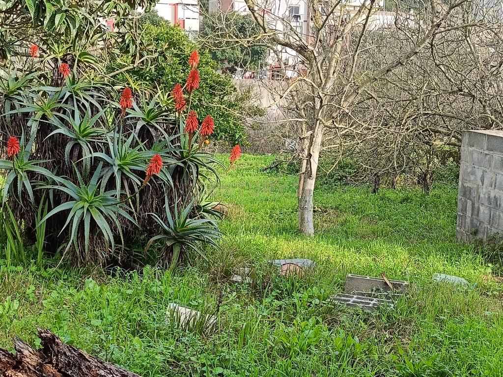 Terrenos em Apelação, Largo 1 de Maio, Loures - Image 1