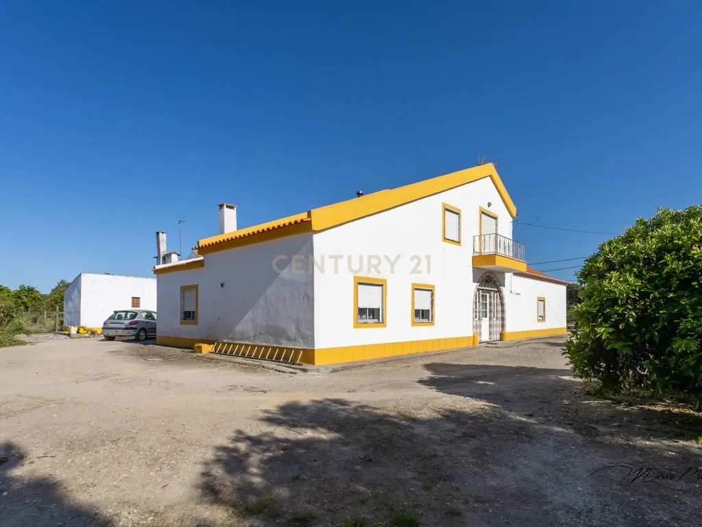 Quinta com Moradia T9 - Santo Isidro de Pegões - Montijo - Image 2