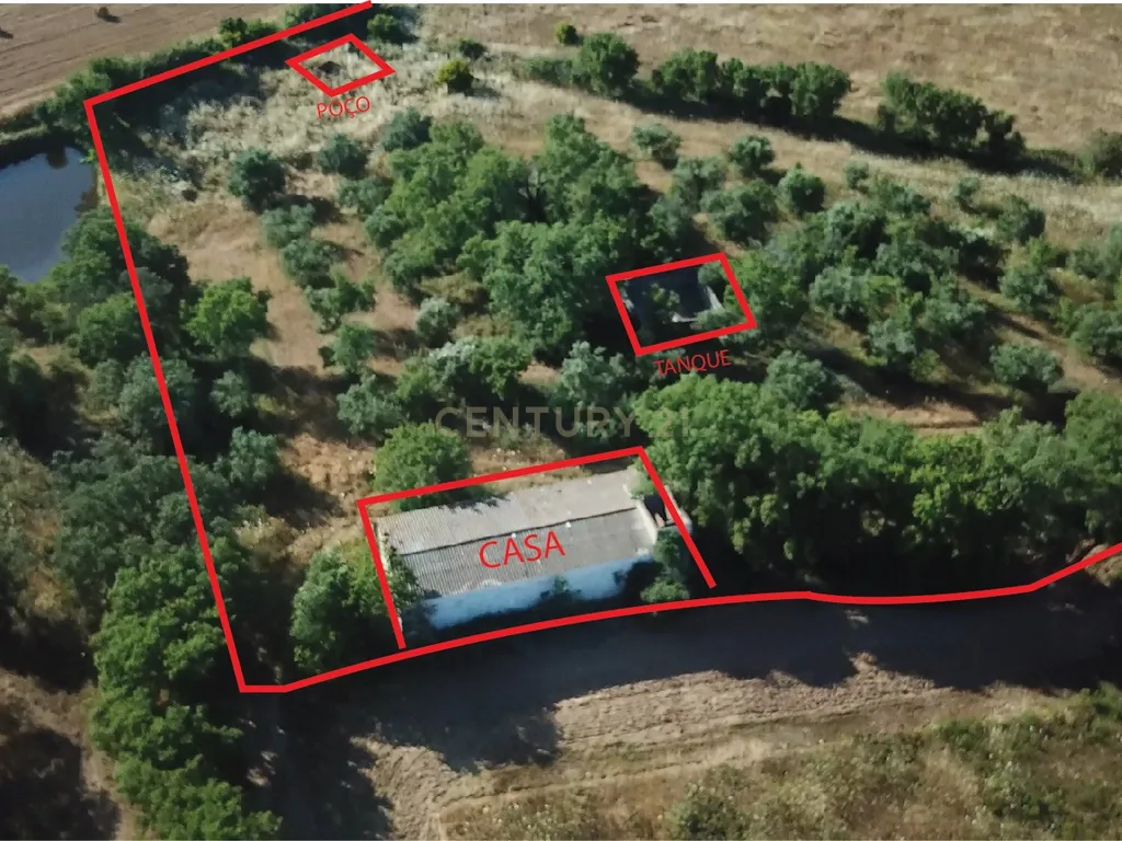 Propriedade com mais de 18 hectares de terreno rústico, localizado no Baixo Alentejo, concelho de Almodôvar - Image 1