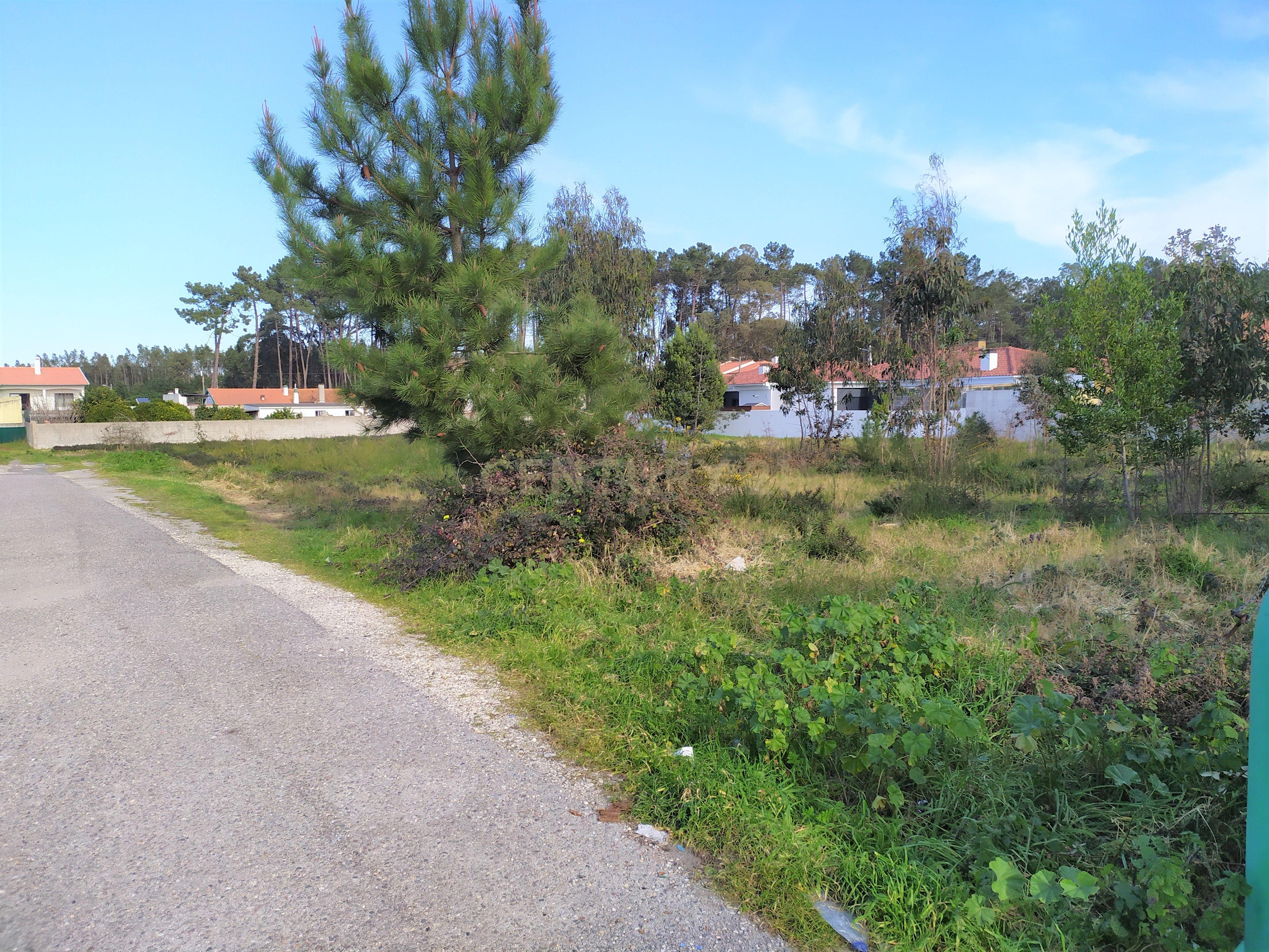 Terreno | Viabilidade Construção| Marinha Grande - Image 3