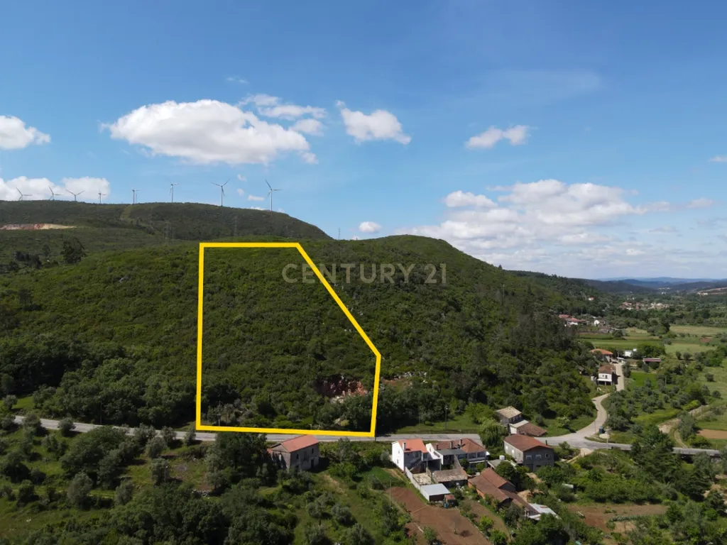 Casa de pedra com terreno junto de riacho - Penela - Image 8