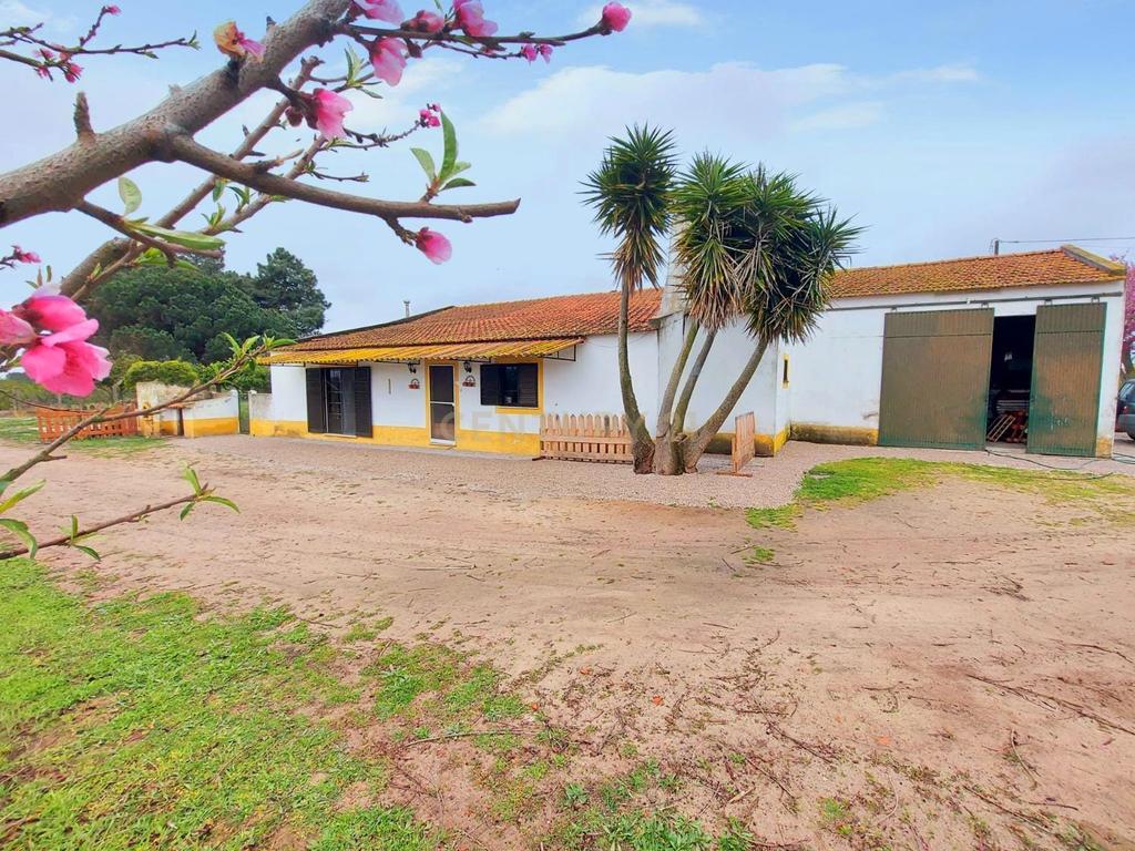 Herdade em Palmela T2 + 2 - T1 - Quinta Nova - Image 1