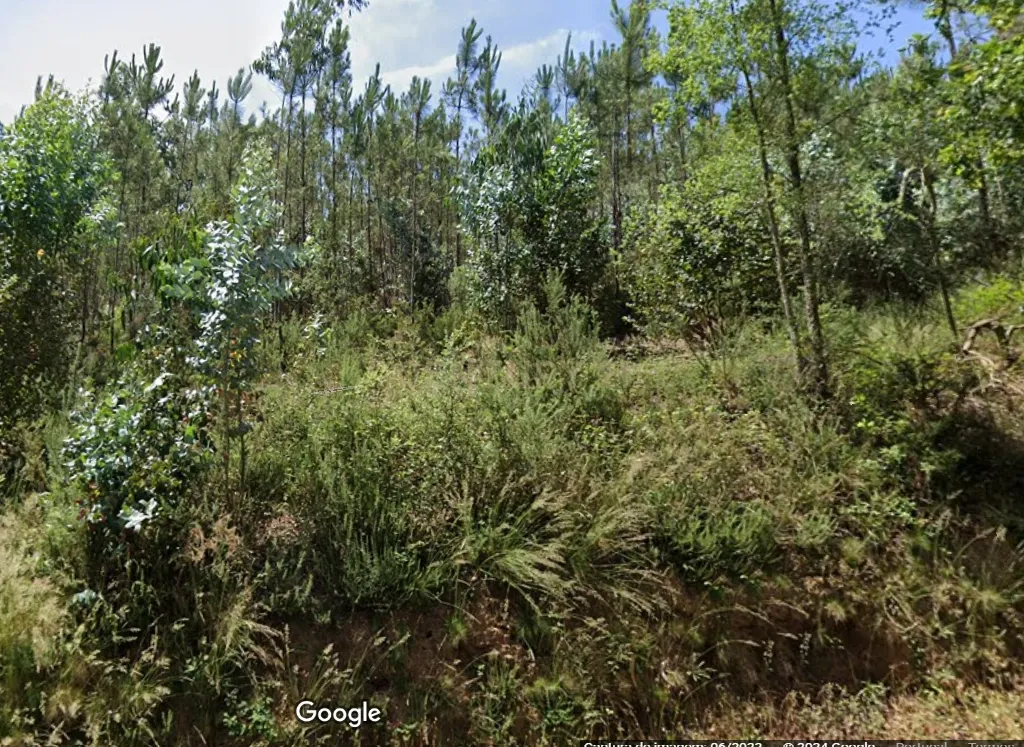 Terreno em Vila verde com 4850m2 - Image 2
