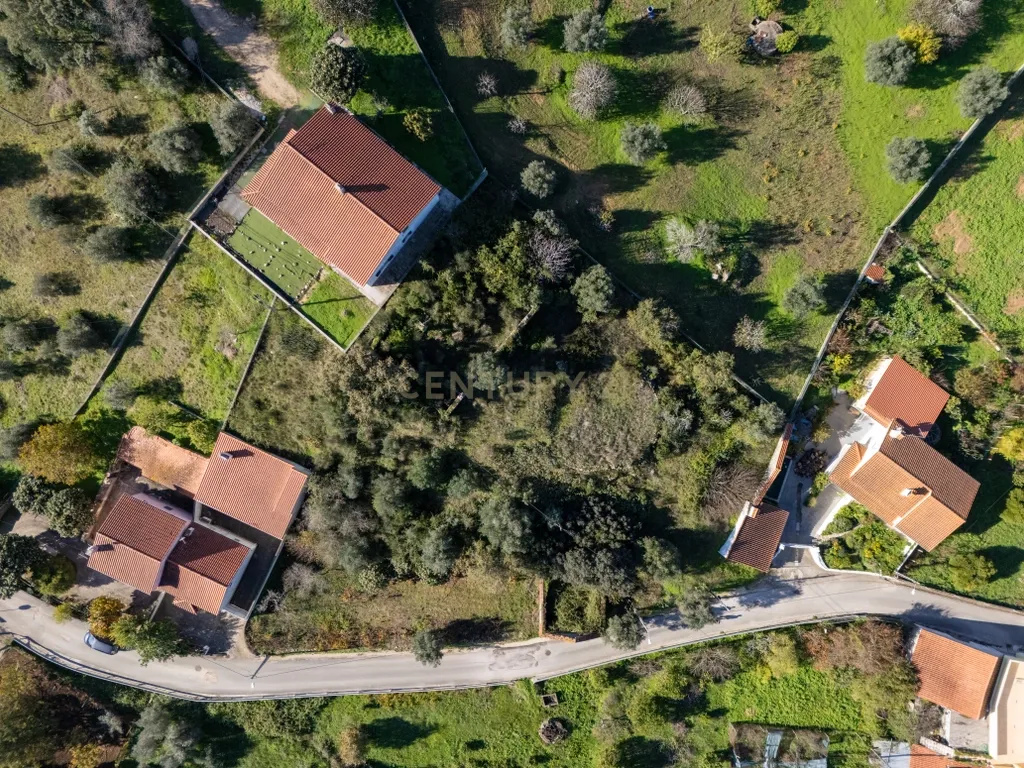 Terreno Urbano com Ruínas e Árvores de Fruto - 2.280m² - Longra, Tomar - Image 3