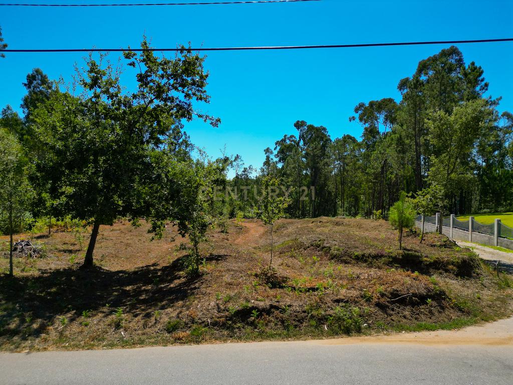 Lote de construção de 720 m2 em Friastelas no concelho Ponte de Lima - Image 3