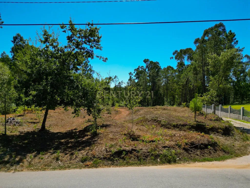 Lote de construção de 720 m2 em Friastelas no concelho Ponte de Lima - Image 3