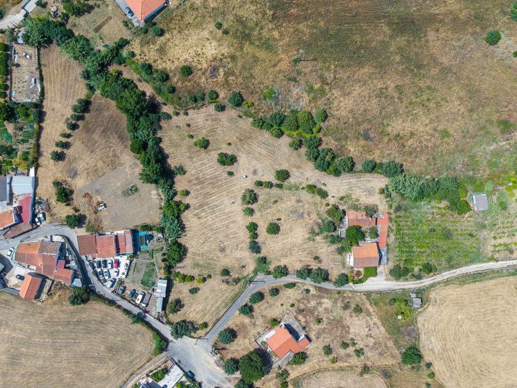 Quinta com 9320m2 em São João dos Montes (Alhandra) - Image 4
