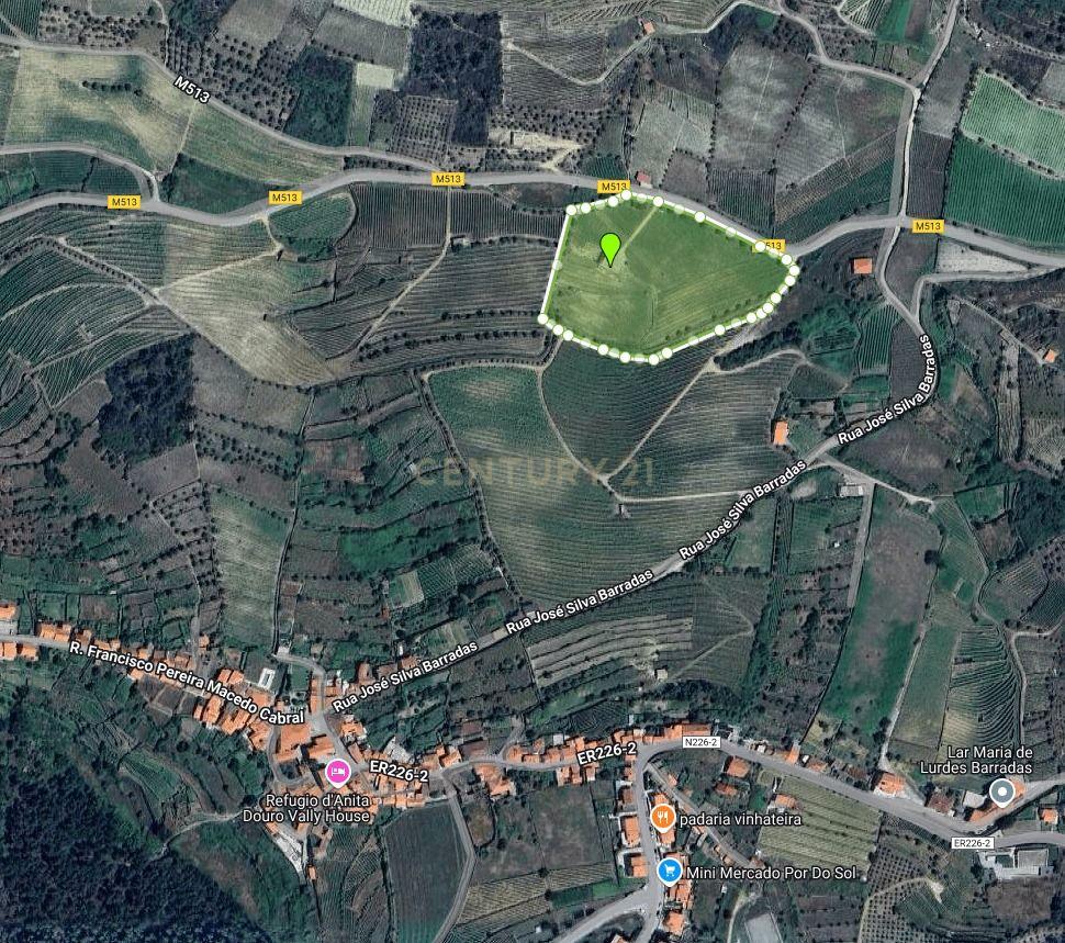 🏡Quinta com Moradia T3 e Vinha no Coração do Alto Douro Vinhateiro – Património Mundial da UNESCO - Image 74