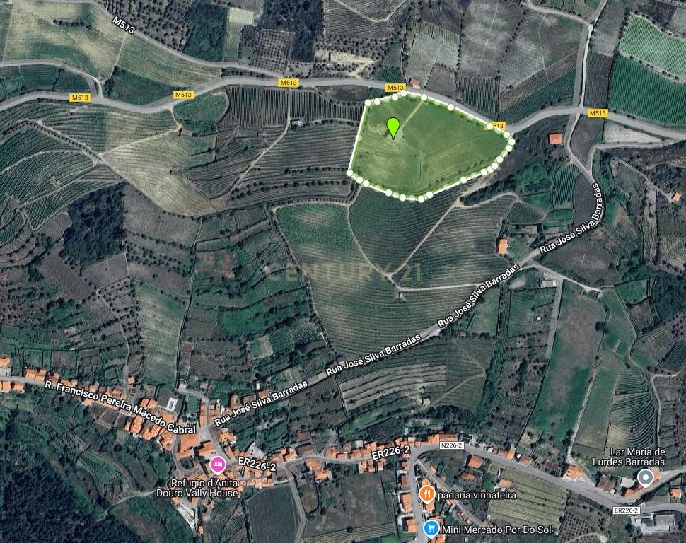 🏡Quinta com Moradia T3 e Vinha no Coração do Alto Douro Vinhateiro – Património Mundial da UNESCO - Image 74