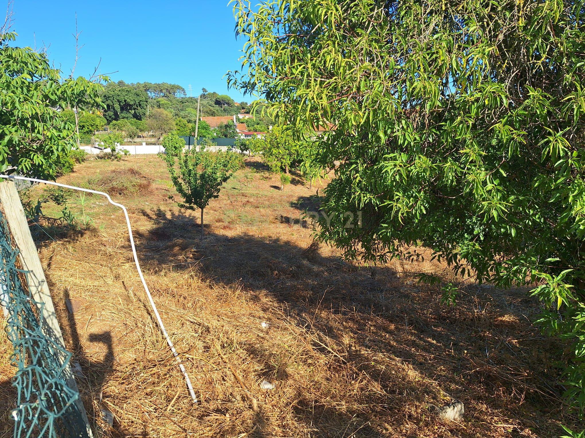 Moradia T3 à venda em Palhais e Coina, Barreiro — foto 32
