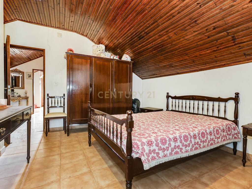 OPORTUNIDADE 360º – Moradia T3 + Posto de Combustível GALP + Terrenos (36 000 m²) - Image 90