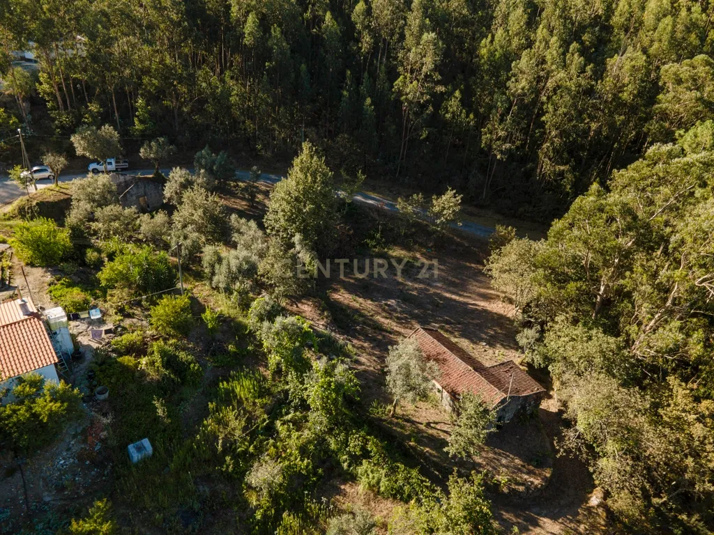 Moradia para reconstrução em Lardosa, Soalhães - Image 4