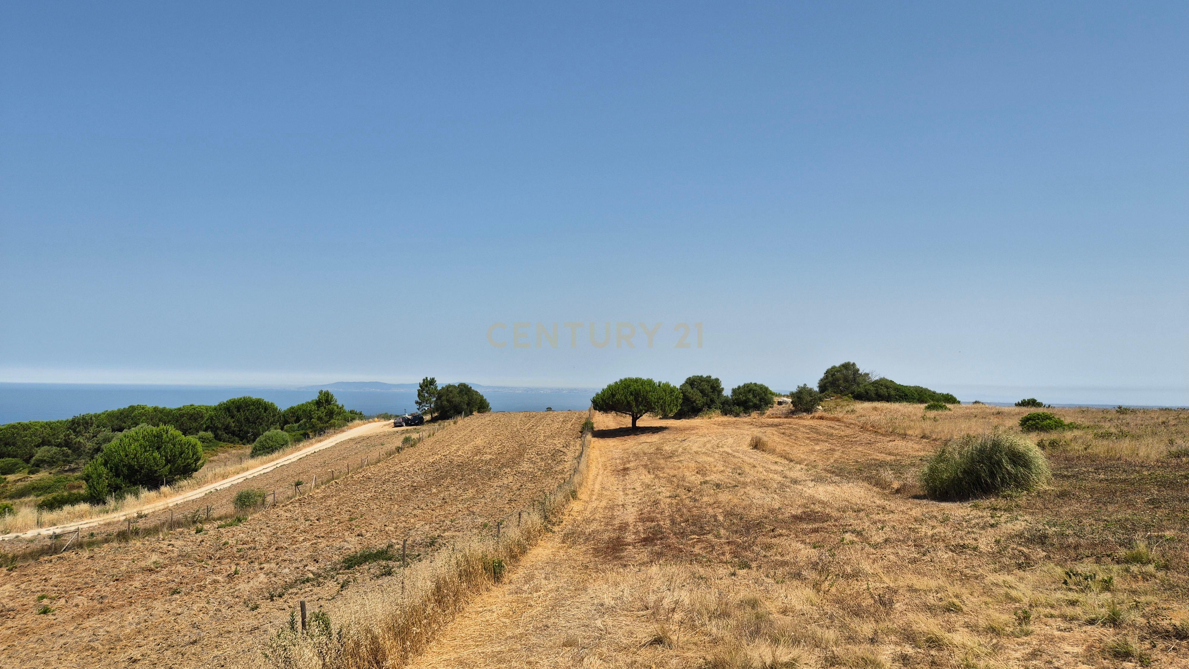 Fotografia 3 de Terreno com Vista Mar e Lisboa na Azoia (15.700 m²) | PIP Aprovado para Moradia + Cave