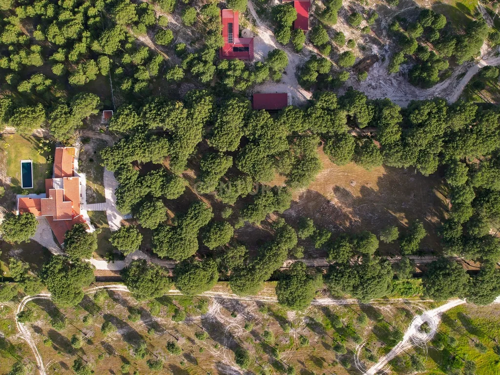 Fabulosa Quinta com lote de terreno de 22.381 m2, onde se encontra inserida uma moradia composta por dois pisos, com uma área bruta de 623 m2, uma área útil de 304 m2 e uma área bruta dependente de 319 m2, localizada em Santo Isidro de Pegões, na zona de Pegões, a pouca distância das belas praias de Setúbal. - Image 125