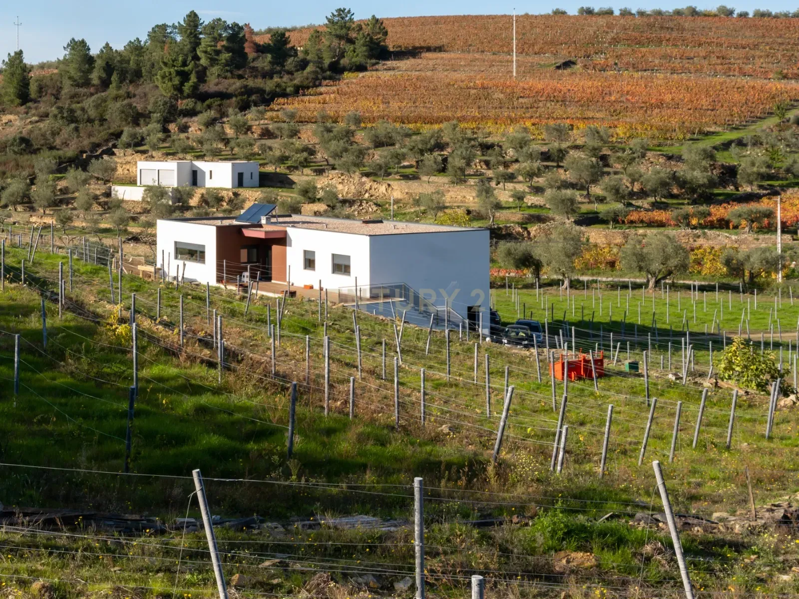 🏡Quinta com Moradia T3 e Vinha no Coração do Alto Douro Vinhateiro – Património Mundial da UNESCO - Image 3