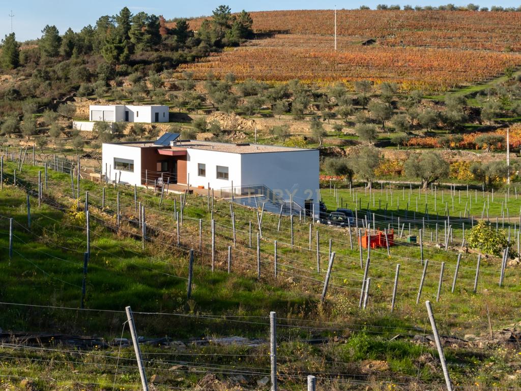 🏡Quinta com Moradia T3 e Vinha no Coração do Alto Douro Vinhateiro – Património Mundial da UNESCO - Image 3