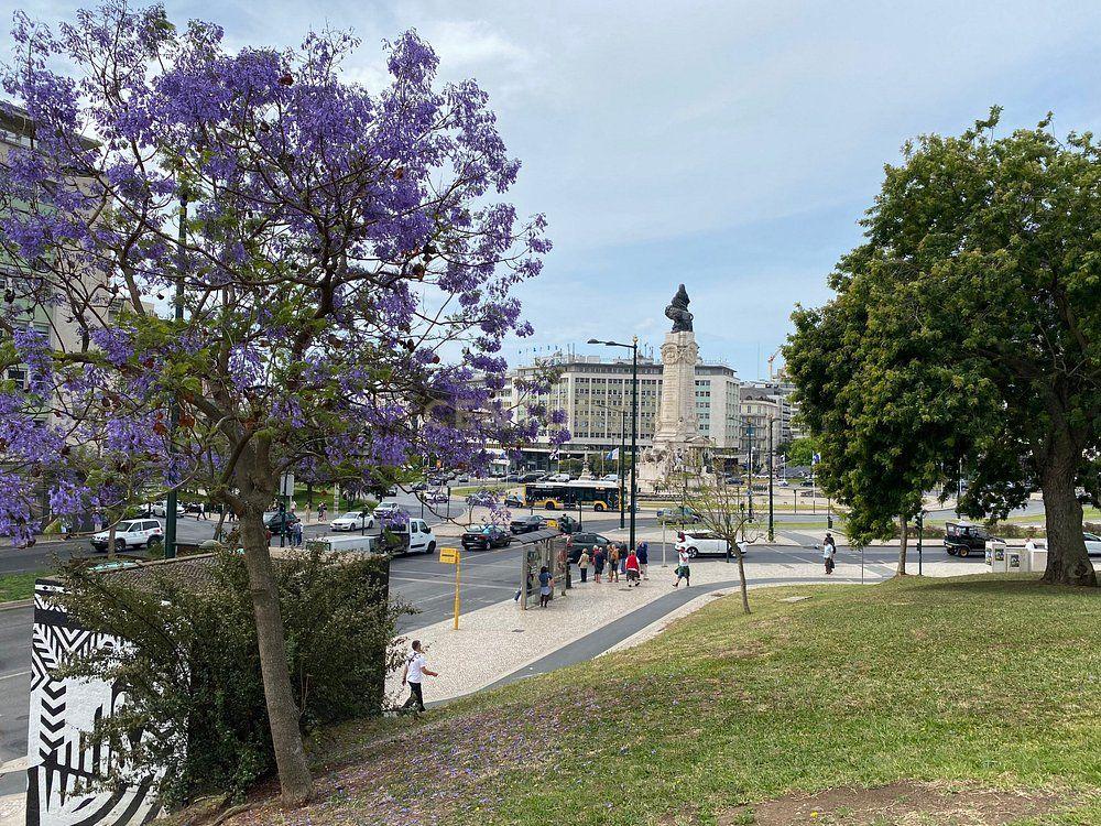Loja/Armazém com 3 Entradas Independentes – Lisboa | 180 m² | Potencial de Conversão em Habitação - Image 11