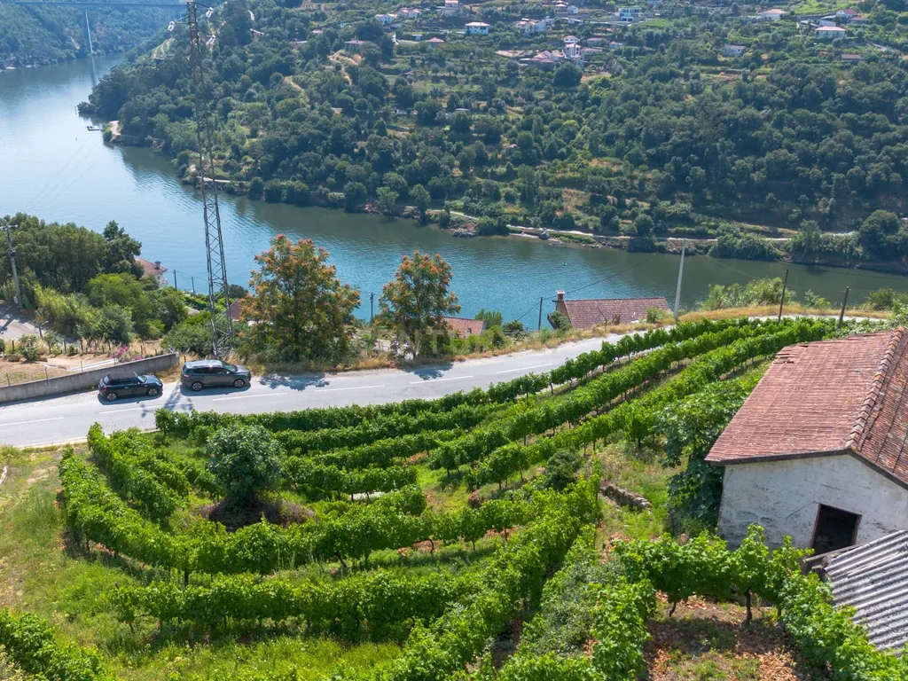 Quintinha com 2 casas em pedra para recuperar + 2 terrenos com vinhas-( 8.210m2 ) -Douro Vinhateiro! - Image 40
