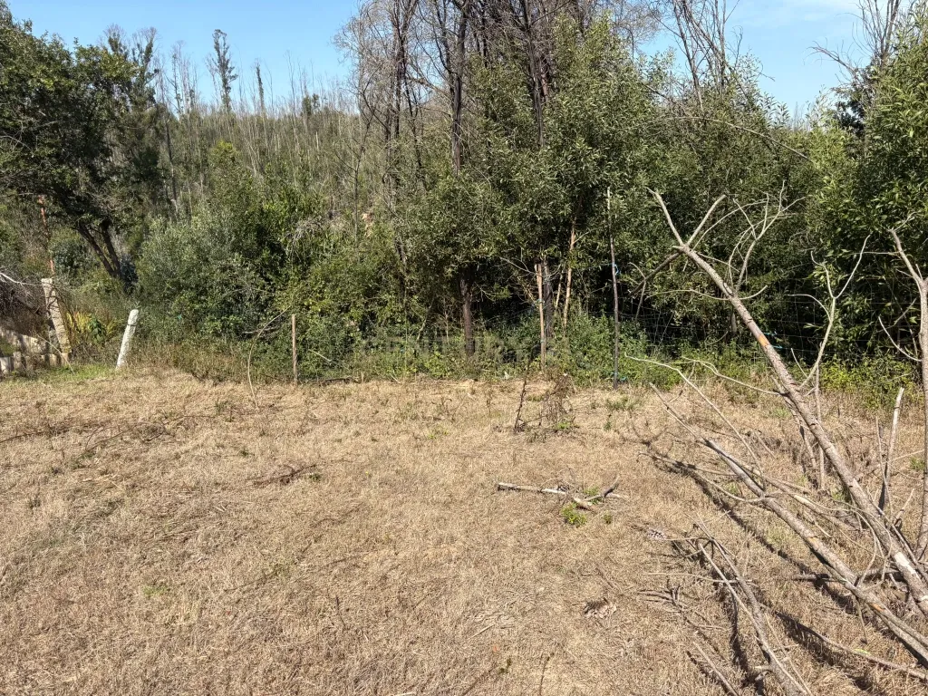 Terreno Urbano em Angeja, Albergaria a Velha - Image 1