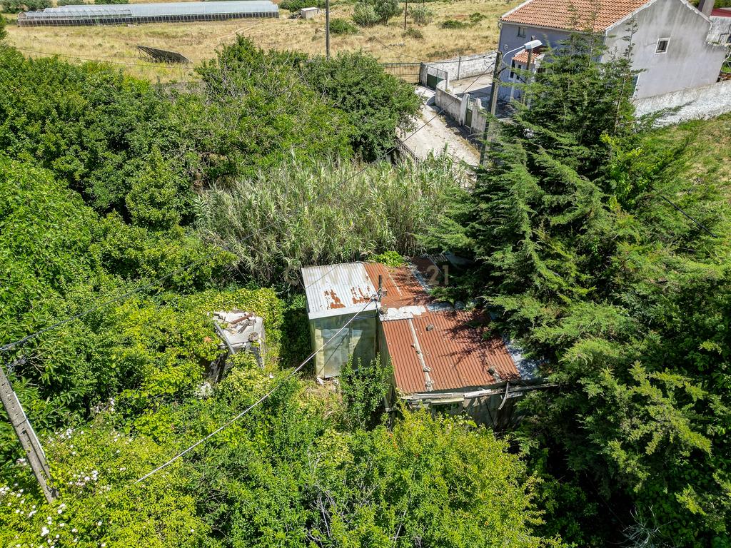 Terreno à Venda em Vale de Almornos – 1.000 m² de Natureza, Potencial e Tranquilidade! - Image 23