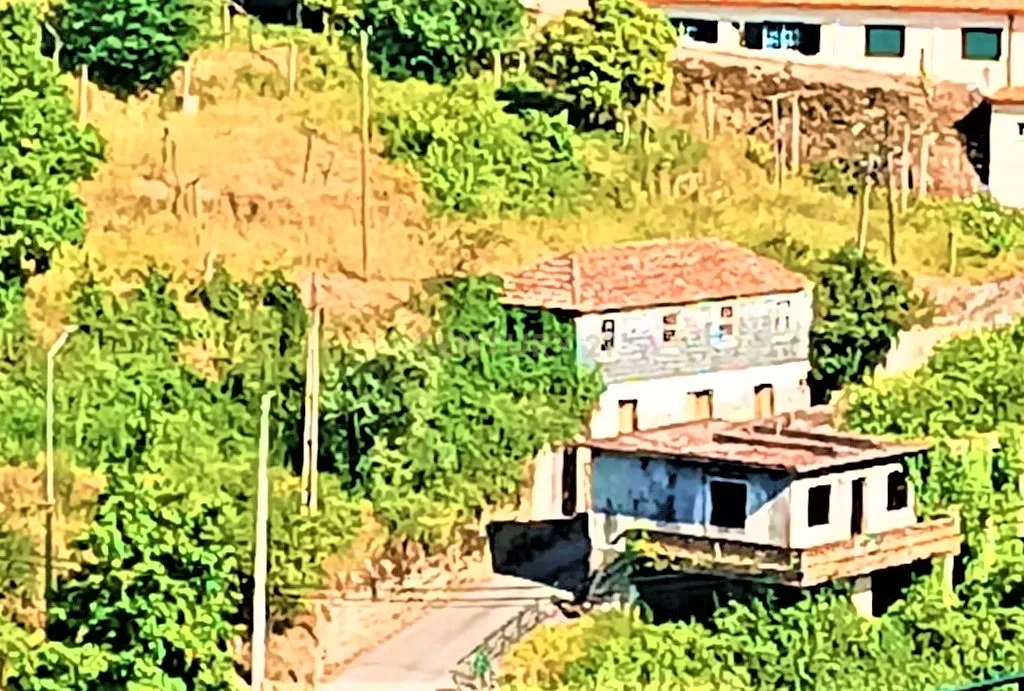 Grande moradia em ruina com terreno junto ao ribeiro, para reconstrução, nas Lages, em Stª Marinha do Zêzere, Baião, Porto. - Image 7
