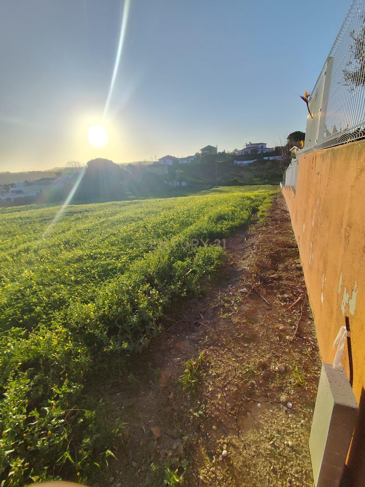 Fotografia 5 de TERRENO URBANO COM 1.620 m² | CARVALHAL – TURCIFAL | TORRES VEDRAS