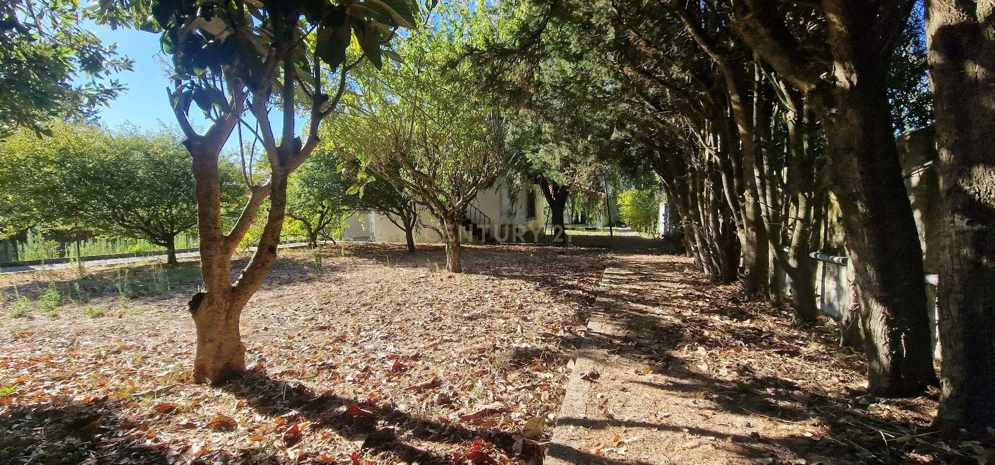 MORADIA - Habitação/Alojamento Local - Image 19