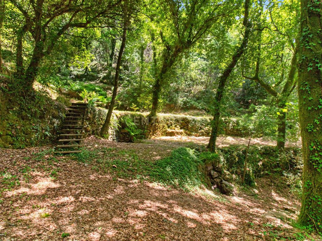Duas Propriedades Únicas no Gerês com Acesso Direto ao Rio e Ancoradouro Privado - Image 13