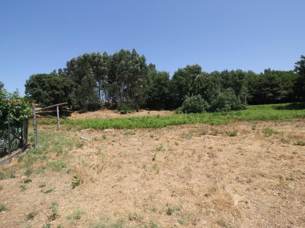 Terreno em Galegos - Penafiel - Image 14