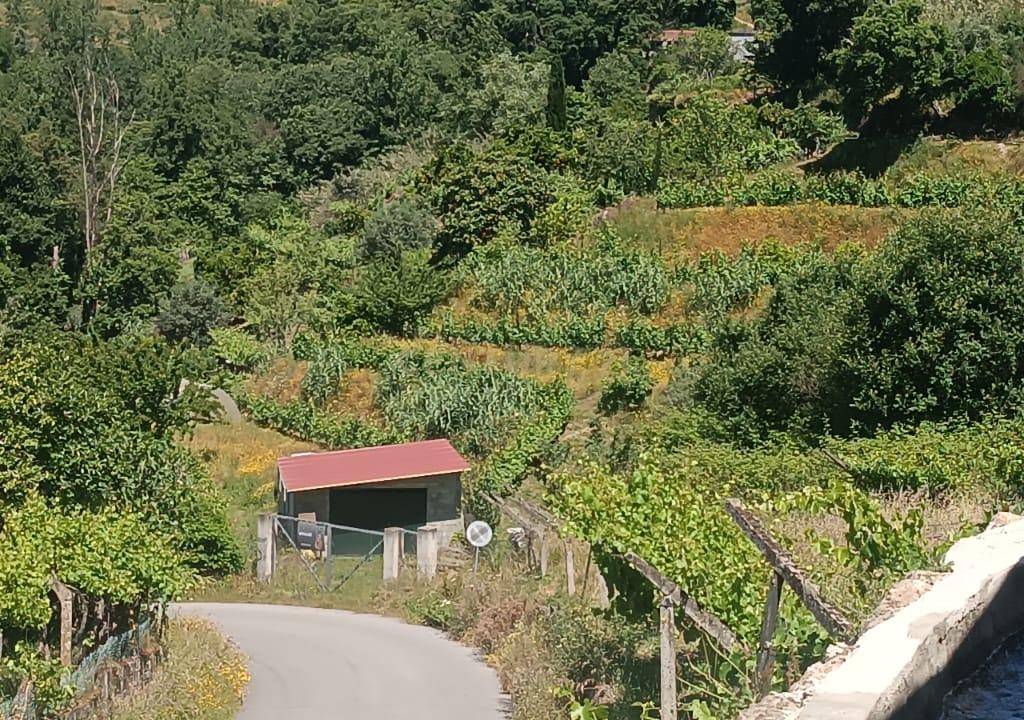Casa com terreno de construção e agrícola perto do rio Douro em Granja, S. Tomé de Covelas, Baião, Porto - Image 41